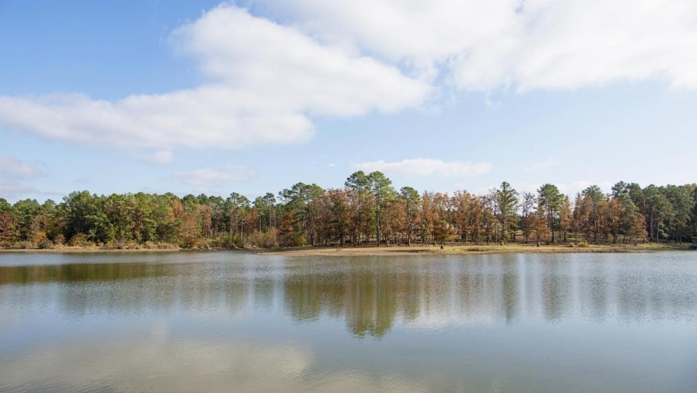 Xecutive Inn and Suites