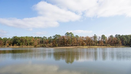 Xecutive Inn and Suites image 9